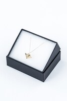 千年パズルモデルのネックレス。