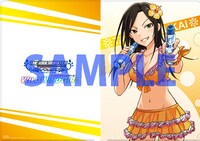 「アイドルマスター シンデレラガールズ WILD WIND GIRL」1巻とらのあな特典のA4カラークリアファイル。