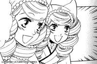 雪洞と鬼灯のカット。