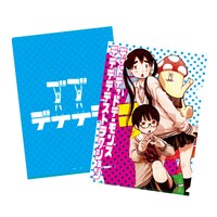 クリアファイルの1種。