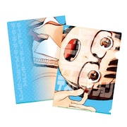 クリアファイルの1種。