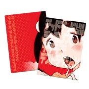 クリアファイルの1種。