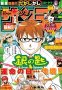 週刊少年サンデー40号