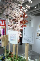 「オチビサン」コーナーの様子。