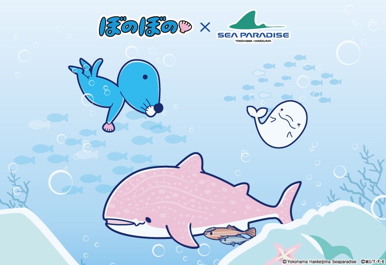 ぼのぼの 八景島シーパラダイス スタンプラリーや限定フードを用意 コミックナタリー