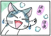 「チーズスイートホーム」より。(c)こなみかなた/講談社