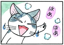 「チーズスイートホーム」より。(c)こなみかなた／講談社