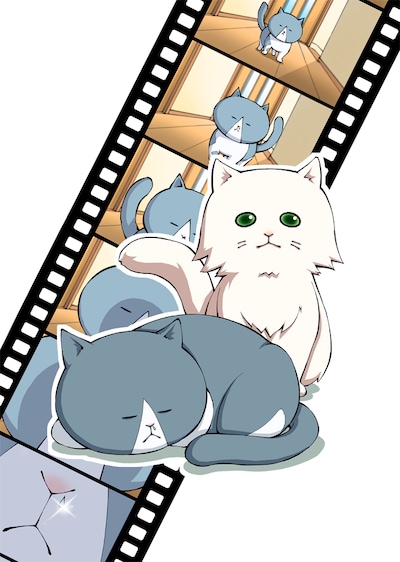 「ねこがあらわれた！」