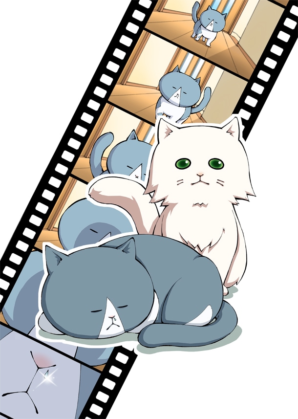 「ねこがあらわれた！」