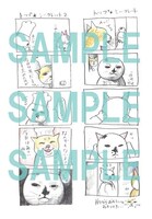 初回版特典のポストカード。