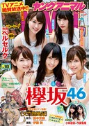 ヤングアニマル18号