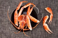 「茹でミミック」の食品サンプル。