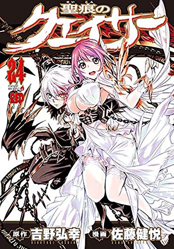 「聖痕のクェイサー」24巻