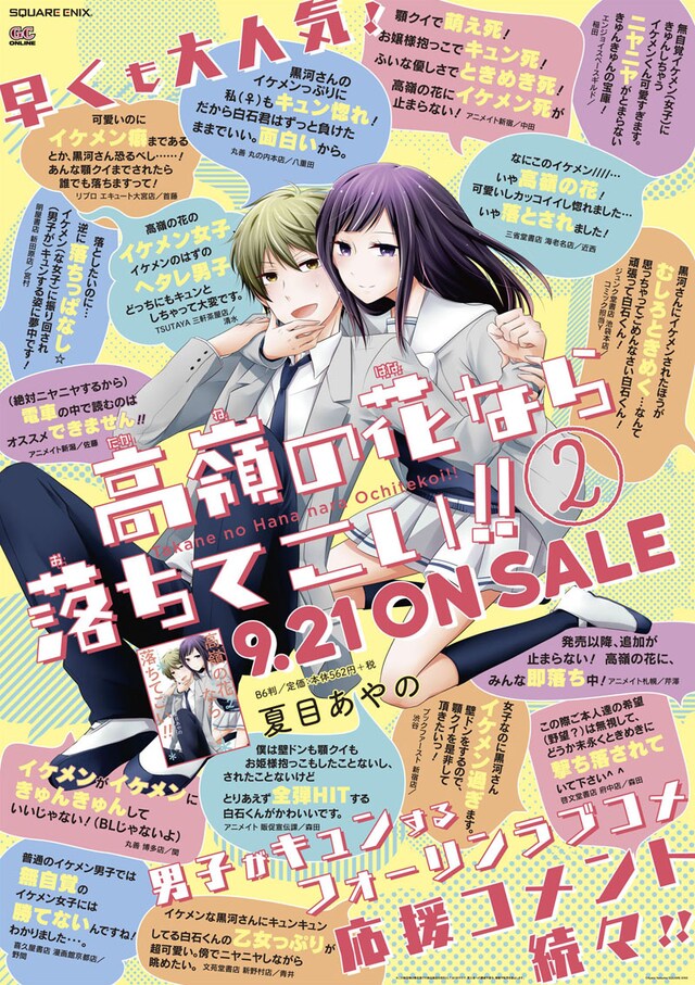 「高嶺の花なら落ちてこい!!」2巻のポスター。