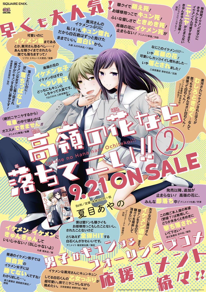 「高嶺の花なら落ちてこい!!」2巻のポスター。