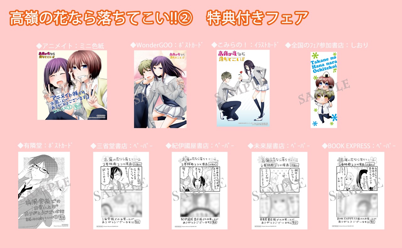 「高嶺の花なら落ちてこい!!」2巻の購入特典。
