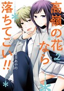 「高嶺の花なら落ちてこい!!」2巻