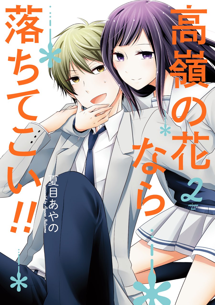 「高嶺の花なら落ちてこい!!」2巻