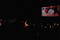 応援上映の様子。