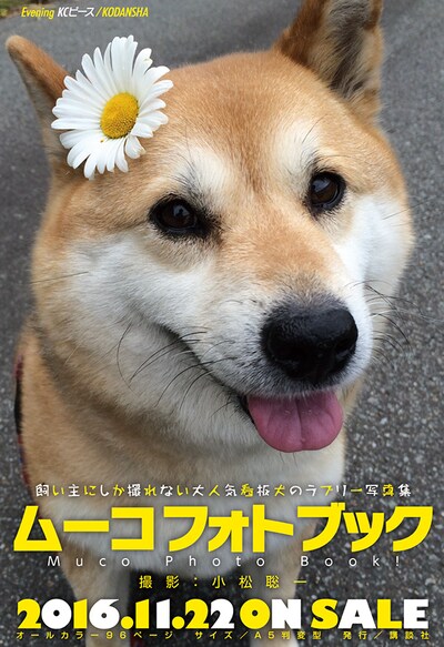 「ムーコフォトブック」