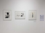 志村貴子「淡島百景」の展示。
