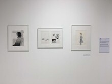 志村貴子「淡島百景」の展示。
