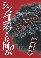 特集冊子「シン・ゴジラとは何か？」表紙