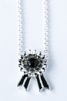 是国竜持モデルのネックレス。