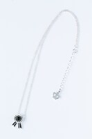 是国竜持モデルのネックレス。