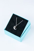 釈村帝人モデルのネックレス。