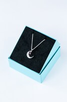 野目龍広モデルのネックレス。