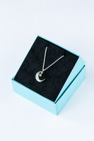 王茶利暉モデルのネックレス。