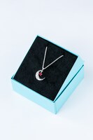 音済百太郎モデルのネックレス。