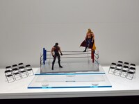 「タイガーマスクW」のコーナー。