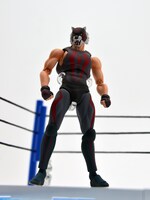 「S.H.Figuarts タイガーザダーク」（参考出展）