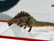 「S.H.MonsterArts ゴジラ（2016）第2形態」（参考出展）