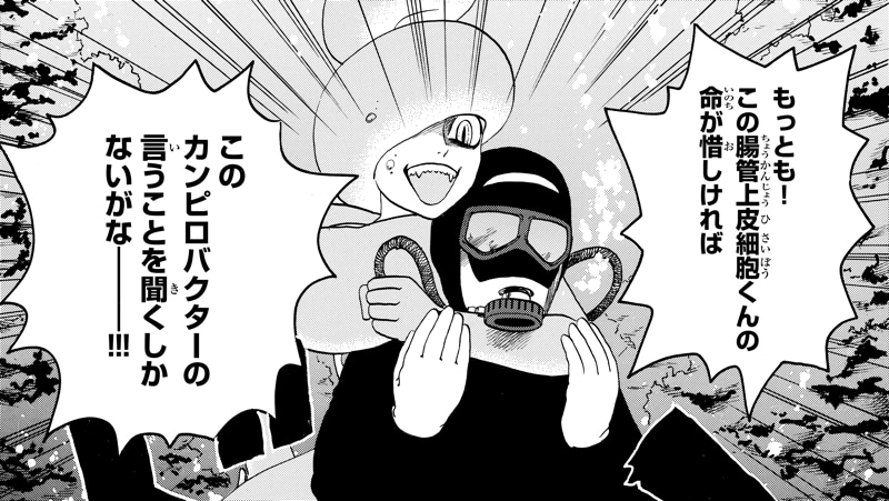 カンピロバクター
