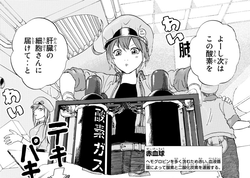赤血球