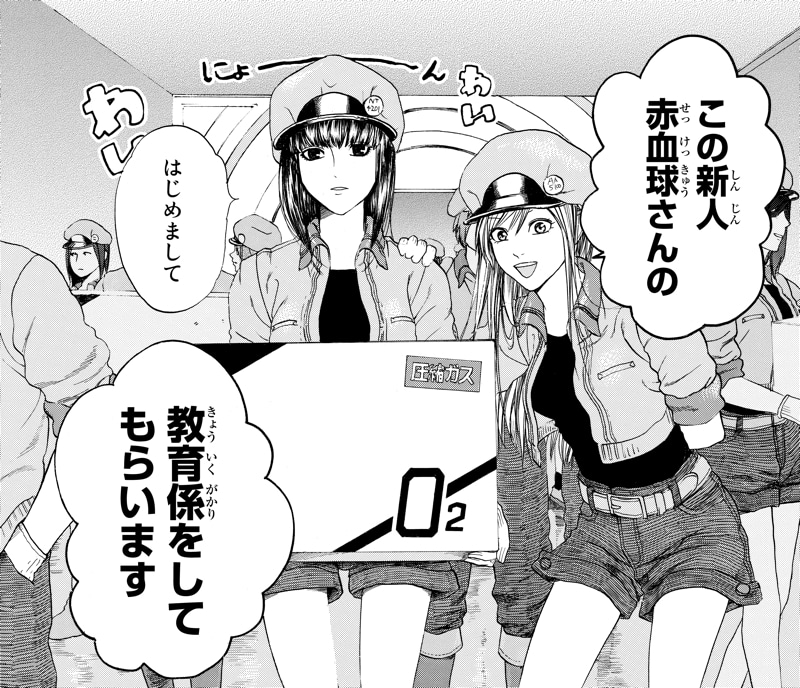 新人の赤血球
