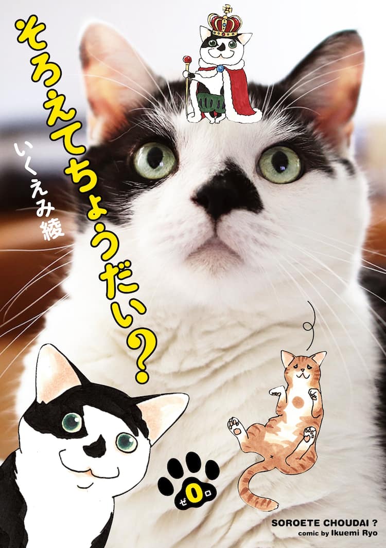 いくえみ綾 17年分の猫仕事が1冊に 町田康と対談 くるねこ大和とコラボも コミックナタリー