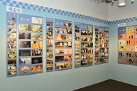 アニメの場面カットも。