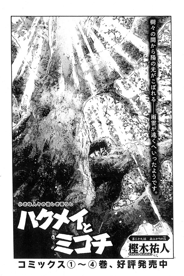 樫木祐人「ハクメイとミコチ」
