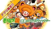 マガジンポケットキャンペーンのバナー。