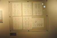 安野モヨコによる「おおきなカブ（株）」の設定画。