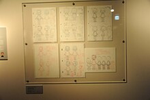 安野モヨコによる「おおきなカブ（株）」の設定画。