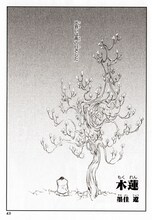 墨佳遼「木蓮」