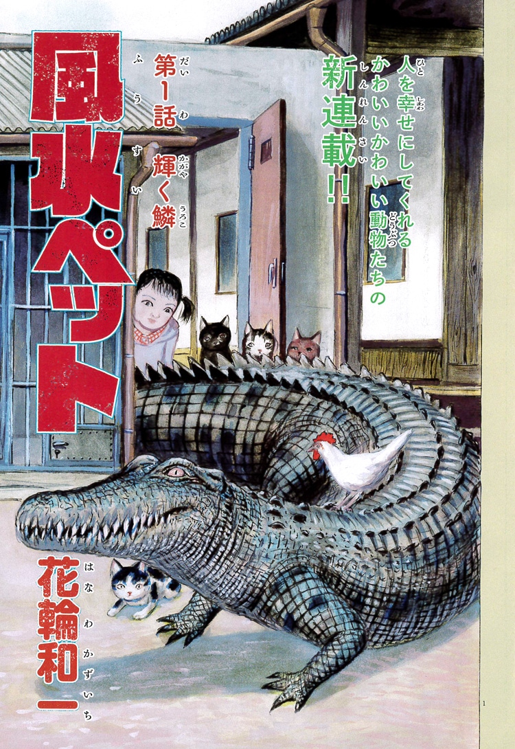 「風水ペット」扉イラスト (c)花輪和一／小学館
