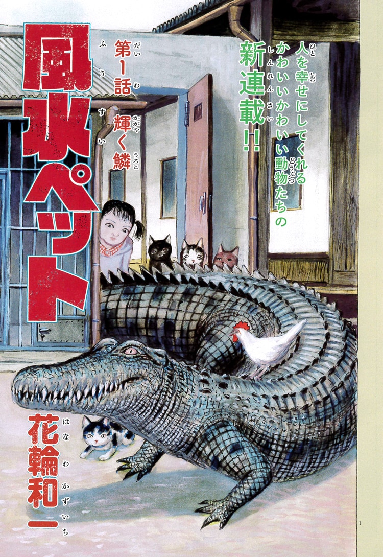 「風水ペット」扉イラスト (c)花輪和一/小学館