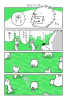 「ハリネズミのハリー」第1話