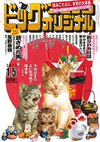 ビッグコミックオリジナル2017年1号